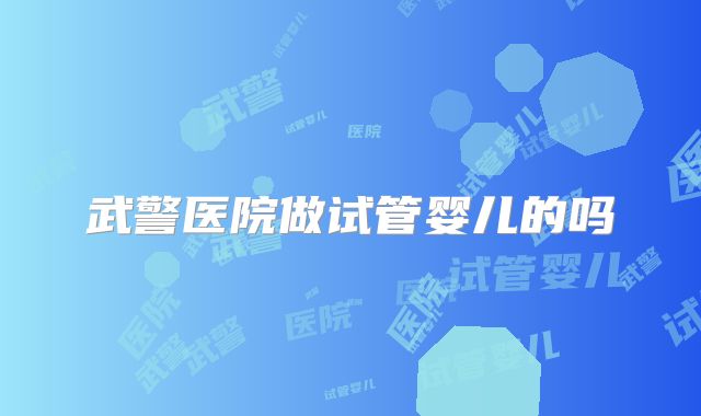 武警医院做试管婴儿的吗
