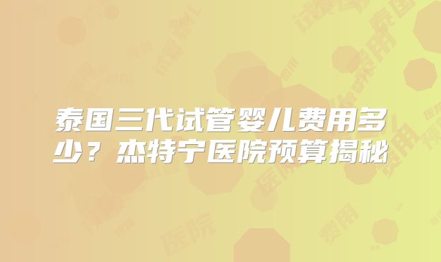 泰国三代试管婴儿费用多少？杰特宁医院预算揭秘