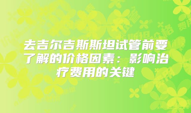 去吉尔吉斯斯坦试管前要了解的价格因素:影响治疗费用的关键