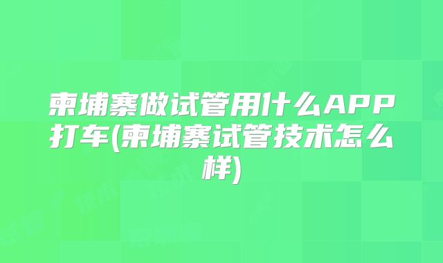 柬埔寨做试管用什么APP打车(柬埔寨试管技术怎么样)