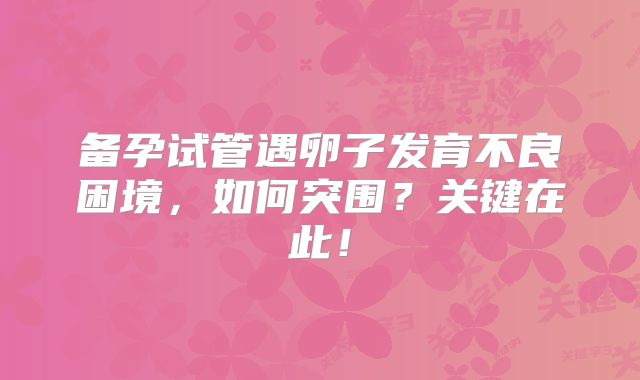 备孕试管遇卵子发育不良困境，如何突围？关键在此！
