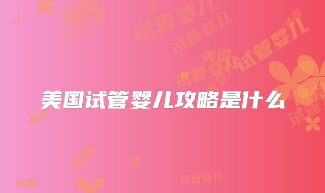 美国试管婴儿攻略是什么