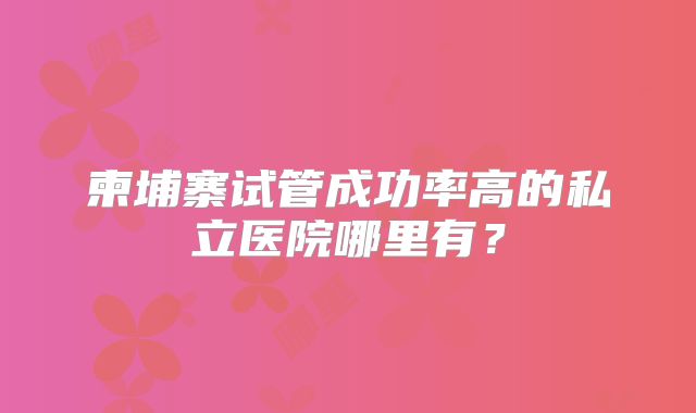 柬埔寨试管成功率高的私立医院哪里有？