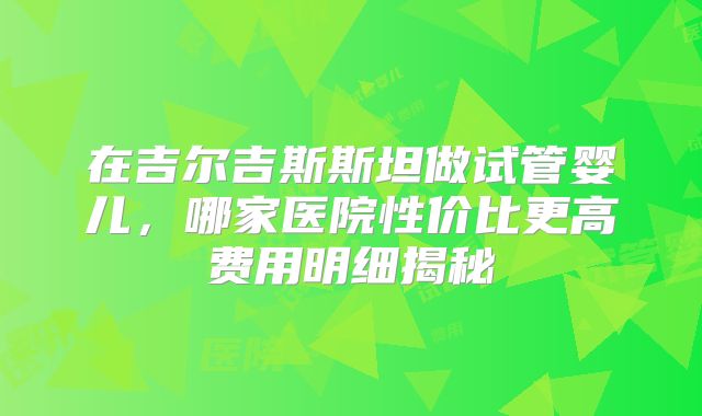 在吉尔吉斯斯坦做试管婴儿，哪家医院性价比更高费用明细揭秘