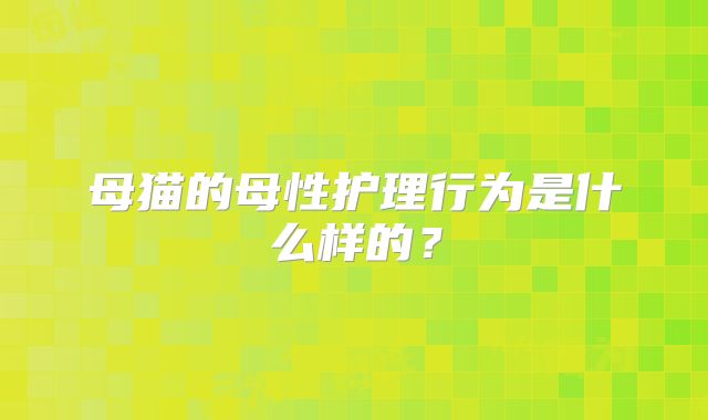 母猫的母性护理行为是什么样的?