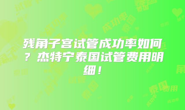 残角子宫试管成功率如何？杰特宁泰国试管费用明细！