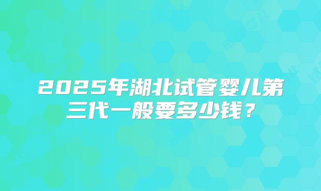 2025年湖北试管婴儿第三代一般要多少钱？