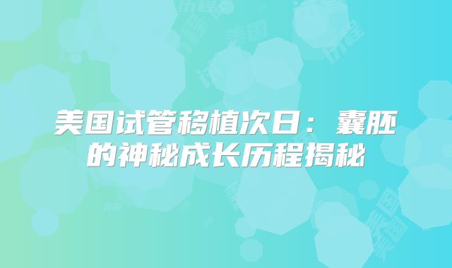 美国试管移植次日：囊胚的神秘成长历程揭秘