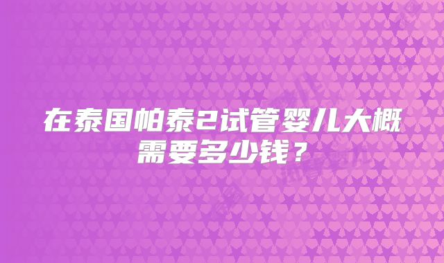 在泰国帕泰2试管婴儿大概需要多少钱？