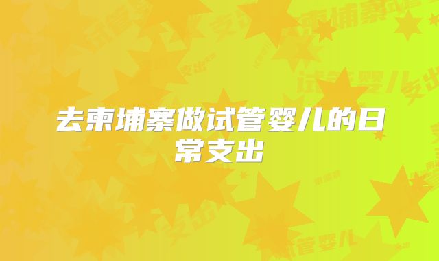 去柬埔寨做试管婴儿的日常支出