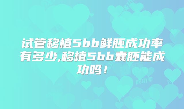 试管移植5bb鲜胚成功率有多少,移植5bb囊胚能成功吗!