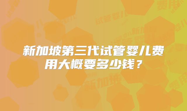 新加坡第三代试管婴儿费用大概要多少钱?
