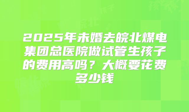 2025年未婚去皖北煤电集团总医院做试管生孩子的费用高吗？大概要花费多少钱
