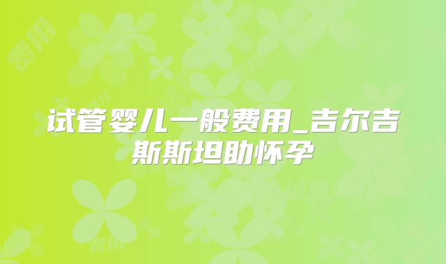 试管婴儿一般费用_吉尔吉斯斯坦助怀孕