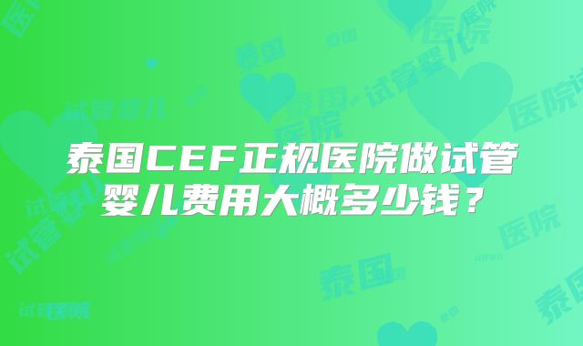 泰国CEF正规医院做试管婴儿费用大概多少钱？