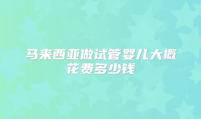 马来西亚做试管婴儿大概花费多少钱