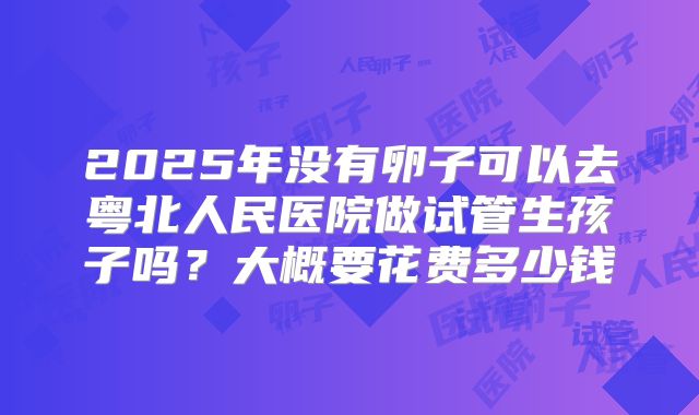 2025年没有卵子可以去粤北人民医院做试管生孩子吗？大概要花费多少钱