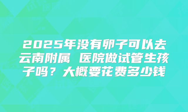 2025年没有卵子可以去云南附属 医院做试管生孩子吗？大概要花费多少钱