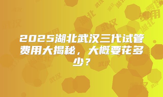 2025湖北武汉三代试管费用大揭秘，大概要花多少？