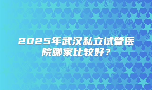 2025年武汉私立试管医院哪家比较好?