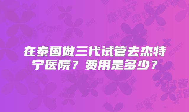 在泰国做三代试管去杰特宁医院?费用是多少?