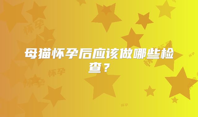 母猫怀孕后应该做哪些检查？