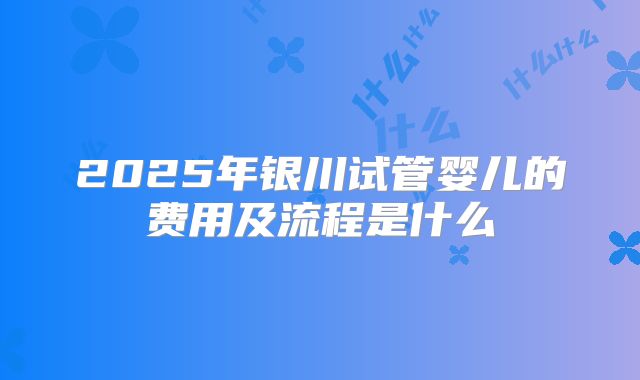 2025年银川试管婴儿的费用及流程是什么