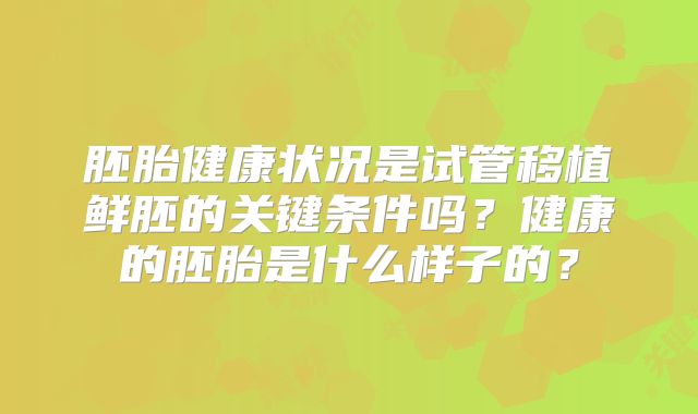 胚胎健康状况是试管移植鲜胚的关键条件吗？健康的胚胎是什么样子的？