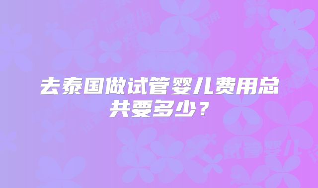去泰国做试管婴儿费用总共要多少？
