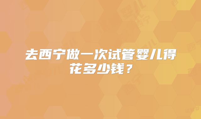去西宁做一次试管婴儿得花多少钱？