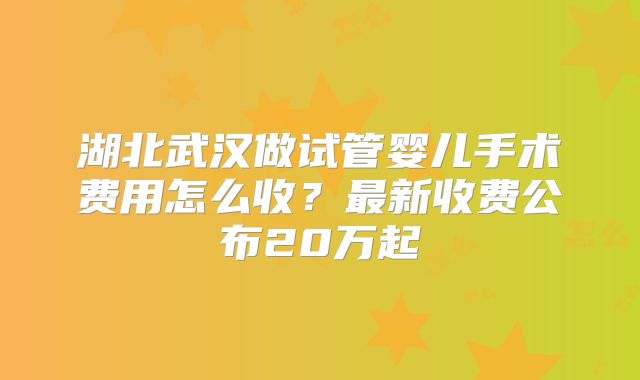 湖北武汉做试管婴儿手术费用怎么收?最新收费公布20万起
