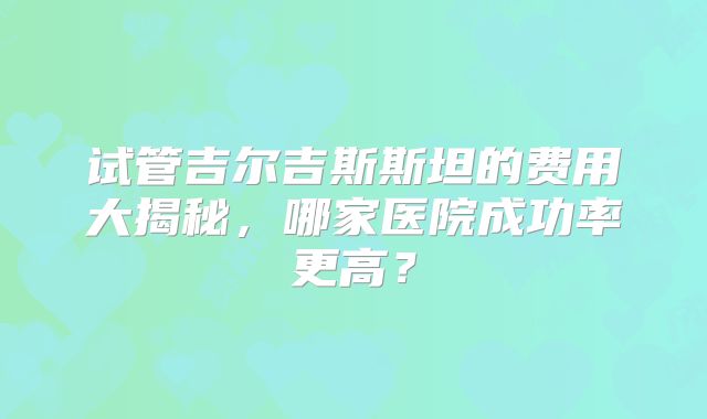 试管吉尔吉斯斯坦的费用大揭秘，哪家医院成功率更高？