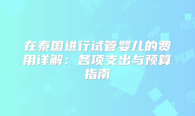 在泰国进行试管婴儿的费用详解:各项支出与预算指南