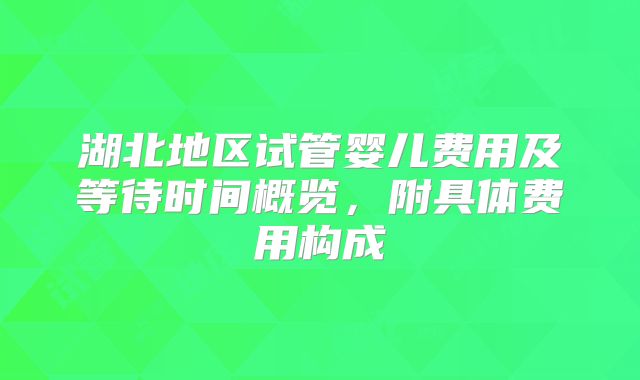湖北地区试管婴儿费用及等待时间概览，附具体费用构成