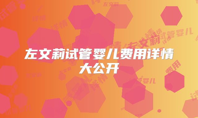 左文莉试管婴儿费用详情大公开