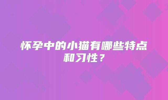 怀孕中的小猫有哪些特点和习性？