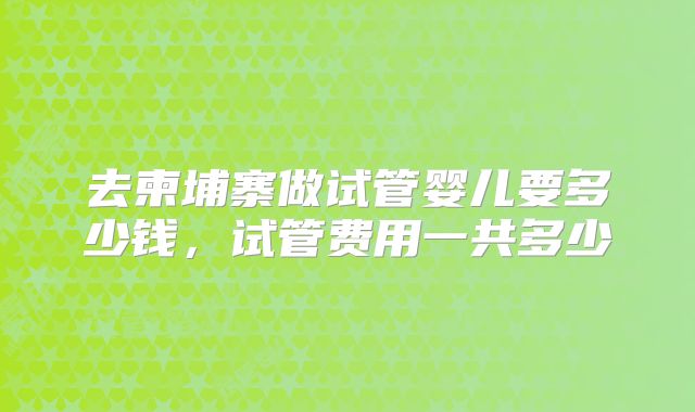 去柬埔寨做试管婴儿要多少钱，试管费用一共多少