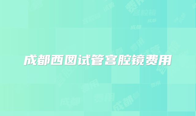 成都西囡试管宫腔镜费用