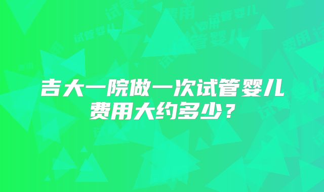 吉大一院做一次试管婴儿费用大约多少？