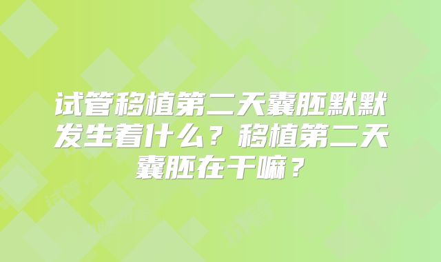 试管移植第二天囊胚默默发生着什么？移植第二天囊胚在干嘛？