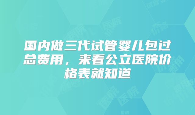 国内做三代试管婴儿包过总费用,来看公立医院价格表就知道