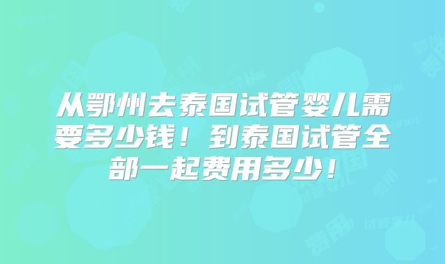 从鄂州去泰国试管婴儿需要多少钱！到泰国试管全部一起费用多少！