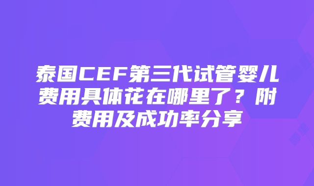 泰国CEF第三代试管婴儿费用具体花在哪里了？附费用及成功率分享