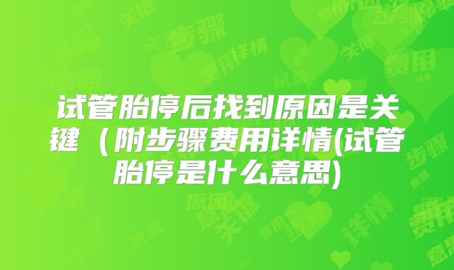试管胎停后找到原因是关键（附步骤费用详情(试管胎停是什么意思)