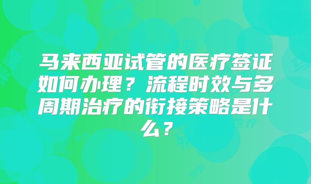 马来西亚试管的医疗签证如何办理？流程时效与多周期治疗的衔接策略是什么？