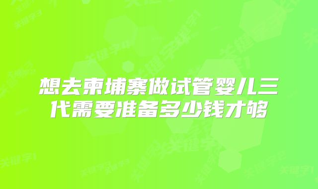 想去柬埔寨做试管婴儿三代需要准备多少钱才够