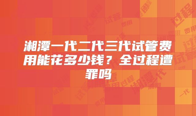 湘潭一代二代三代试管费用能花多少钱？全过程遭罪吗