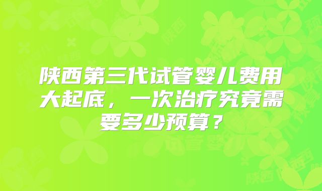 陕西第三代试管婴儿费用大起底，一次治疗究竟需要多少预算？