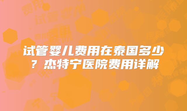 试管婴儿费用在泰国多少？杰特宁医院费用详解