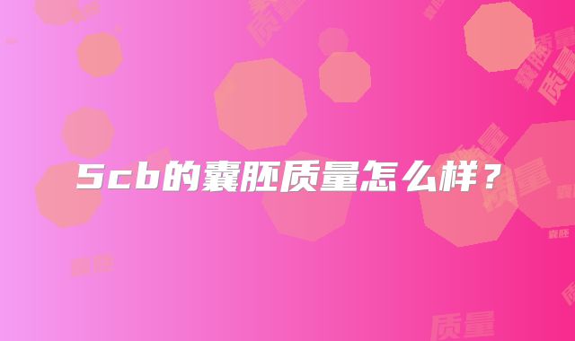5cb的囊胚质量怎么样？